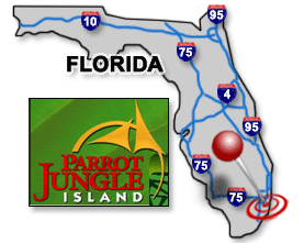 parrotjungleisland.gif